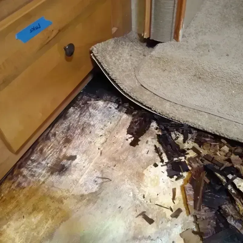 Best Wood Floor Water Damage Service in Iberville Parish, LA